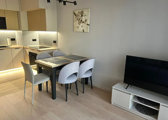 Plaza 41 公寓 格但斯克